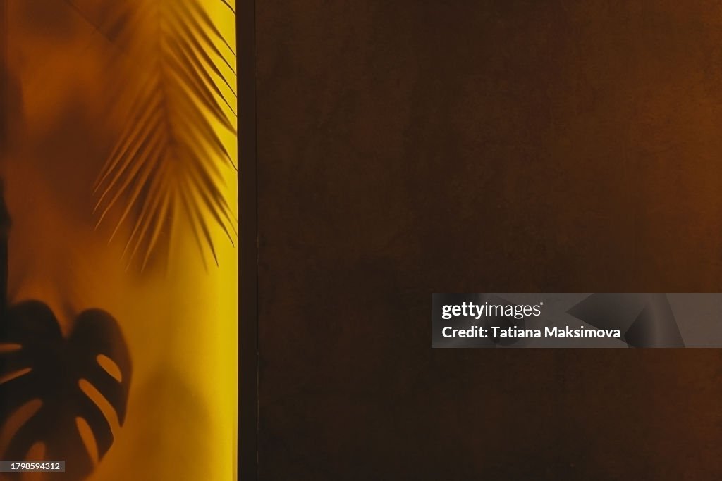 Tropical leaves behind yellow backlit glass. Copy space, no people. Abstract background.