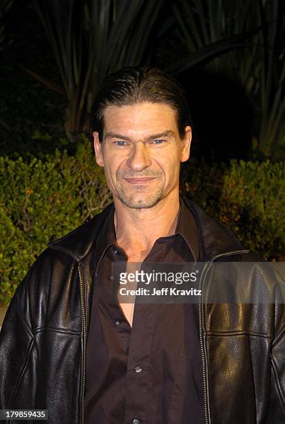 Don Swayze during 2004 Miramax Awards - Pre-Oscar Party at St. Regis Hotel in Century City, California, United States.