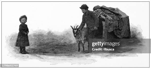 stockillustraties, clipart, cartoons en iconen met antique image of hampden county, massachusetts: springfield - baby goats