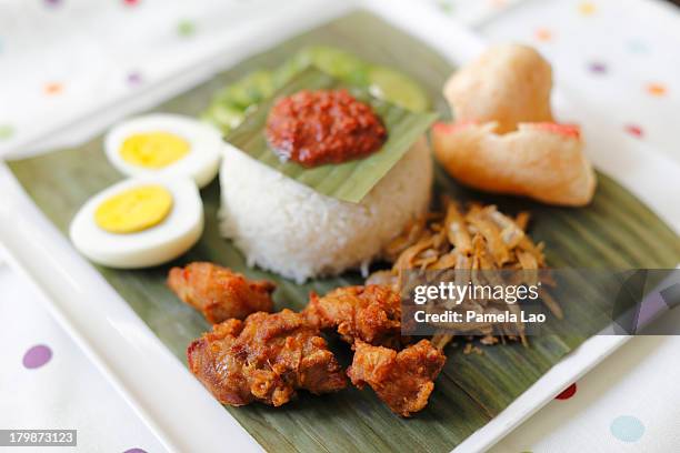 Nasi Lemak High-Res Stock Photo
