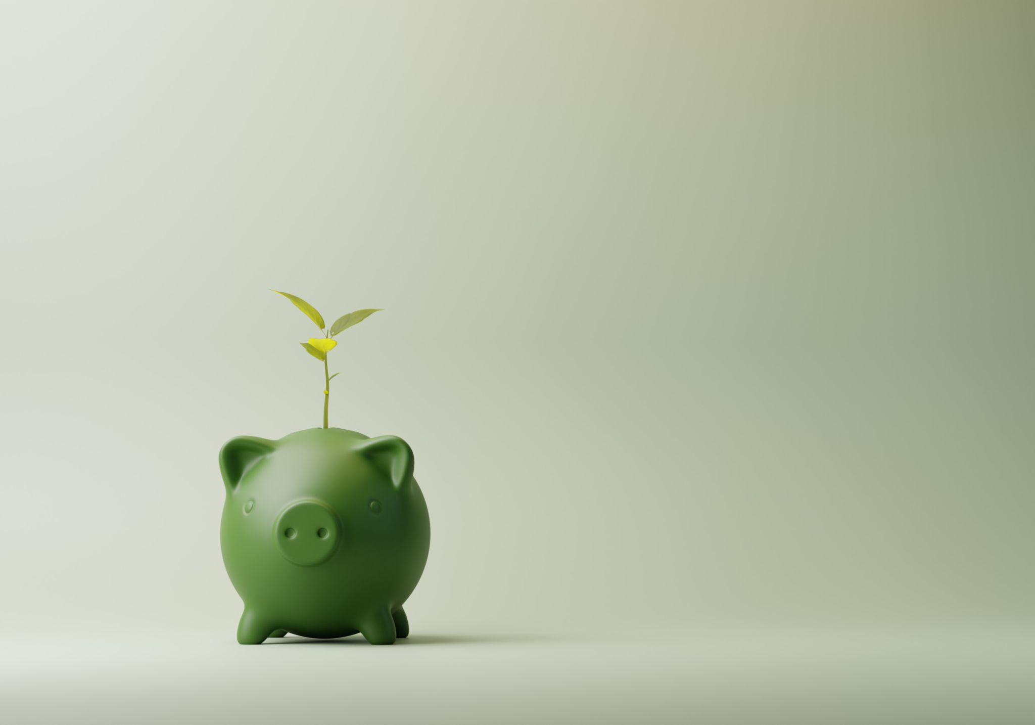 eco savings