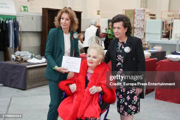 Cuqui Fierro during the inauguration of 'El Rastrillo de Nuevo Futuro', on November 17 in Madrid, Spain.