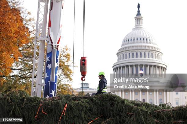 Crane lifts the 2023 U.S. Capitol Christmas Tree to the West Front of the U.S. Capitol after it arrives on November 17, 2023 in Washington, DC. This...