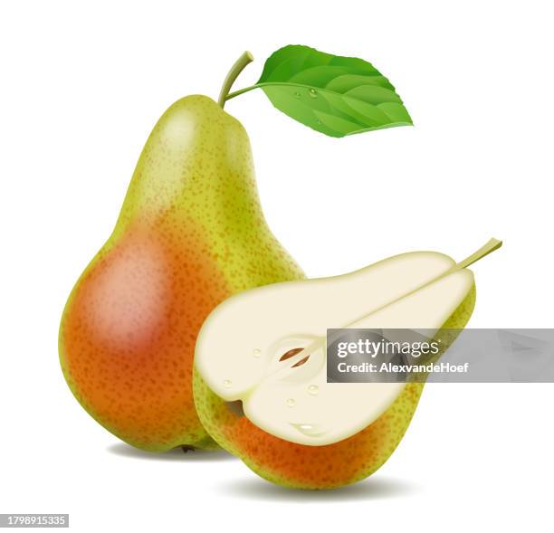 ilustraciones, imágenes clip art, dibujos animados e iconos de stock de una pera y media - pera