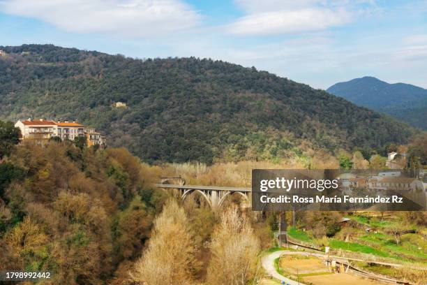 panoramic view from castellfollit de la roca village, gerona - castellfollit de la roca fotografías e imágenes de stock