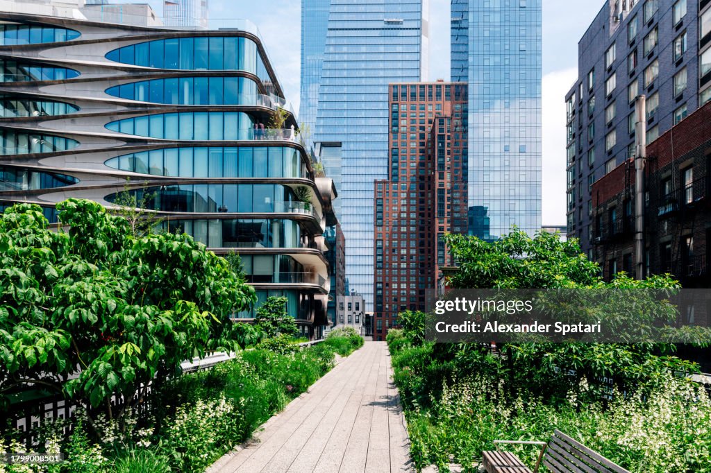 High Line Park and Hudson Yards skyscrapers on a sunny summer day, New York, USA