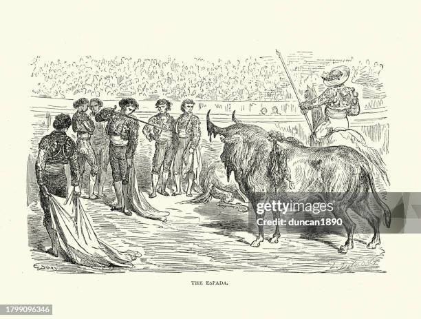 bull fighting, matador facing a bull in the arena, the espada, spanish history 19th century - bullfight arena stock illustrations
