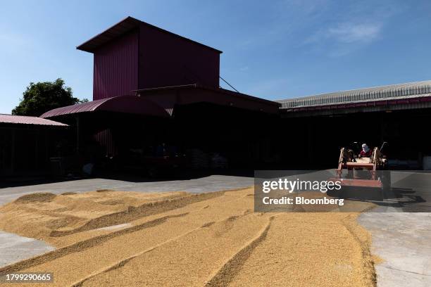 Worker spreads paddy rice outside a rice mill in Kalasin province, Thailand, on Monday, Nov. 20, 2023. Limited supply from Vietnam has led to buyers...