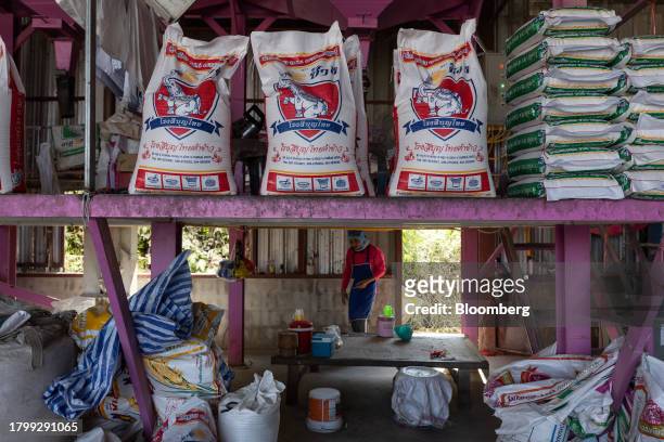 Bags of rice inside a mill in Kalasin province, Thailand, on Monday, Nov. 20, 2023. Limited supply from Vietnam has led to buyers such as the...