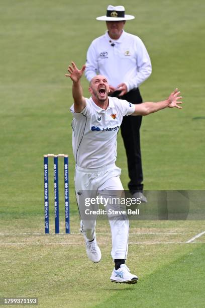 Gabe Bell of the Tigers celebrates the wicket of Daniel Hughes of the Blues during the Sheffield Shield match between Tasmania and New South Wales at...