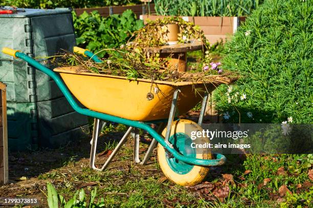 gardening wheelbarrow full of grass or soil in an agricultural field with no people around, front view. - schubkarre stock-fotos und bilder