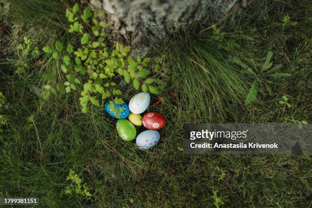 easter eggs for easter hunting hiding on green grass under the tree. - hidden object stock pictures, royalty-free photos & images