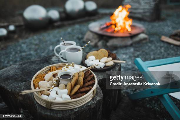 large outdoor fire pit surrounded by wooden chairs with mugs of hot cocoa, marshmallow, chocolate cookie and sweets - burnt cookies stock-fotos und bilder