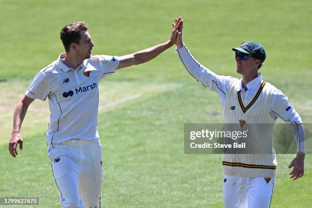 Lawrence Neil-Smith of the Tigers celebrates the wicket of Chris Green of the Blues during the Sheffield Shield match between Tasmania and New South...