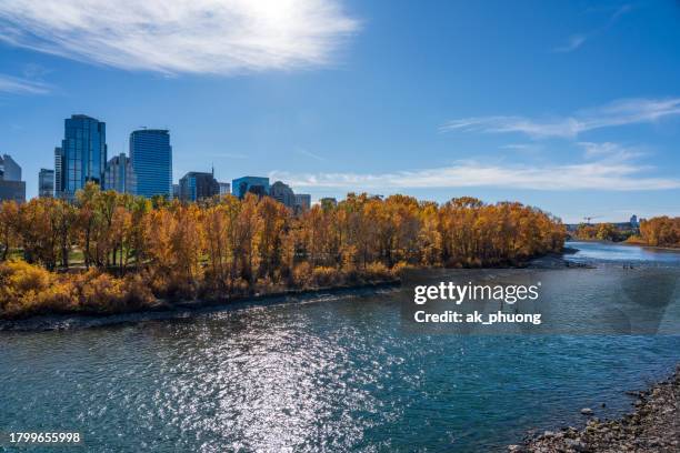 banks of bow river in the autumn at calgary downtown - fluss bow river stock-fotos und bilder
