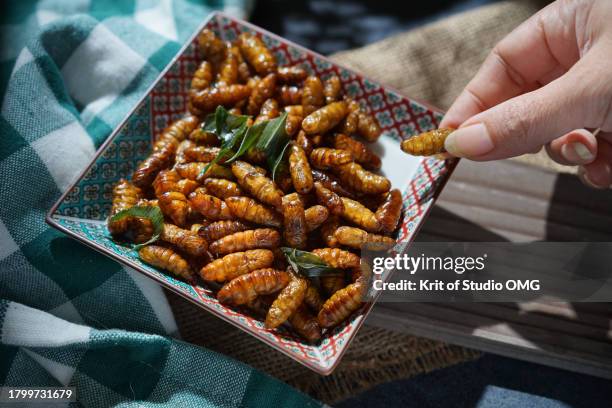 picking a cooked silkworm in the plate - insetto foto e immagini stock