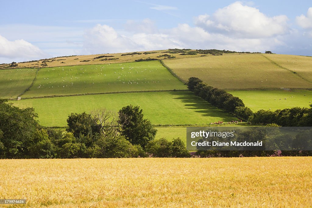 Rolling countryside