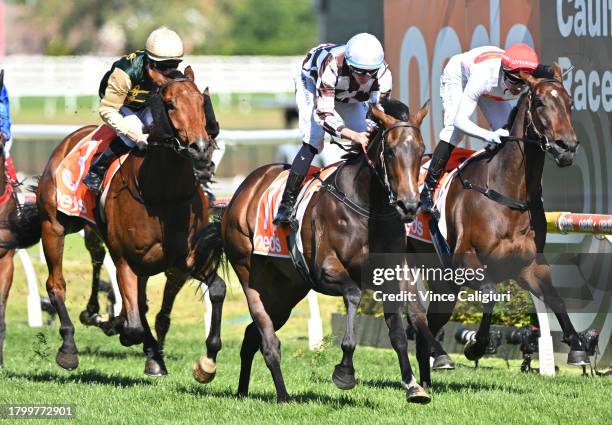 Melbourne Magic Photos and Premium High Res Pictures - Getty Images