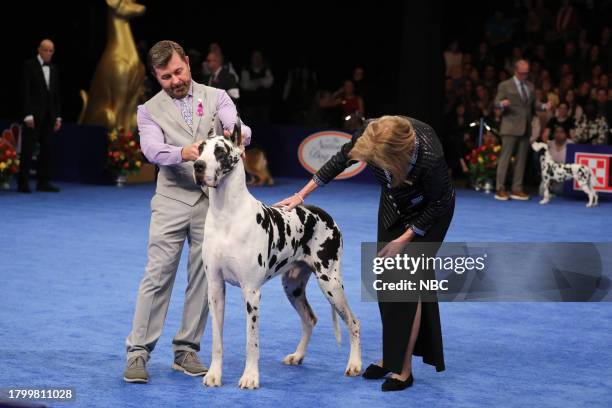 Pictured: Darryl Pitts, Handler; 2023 National Dog Show Working Group Winner, Great Dane named "Carson" --