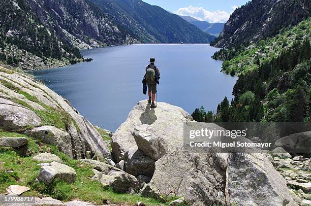 the walker - pyrenees stock pictures, royalty-free photos & images