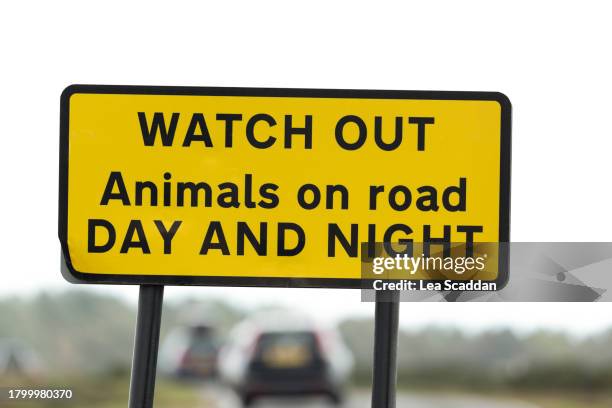 watch out warning sign - safety icon stock pictures, royalty-free photos & images