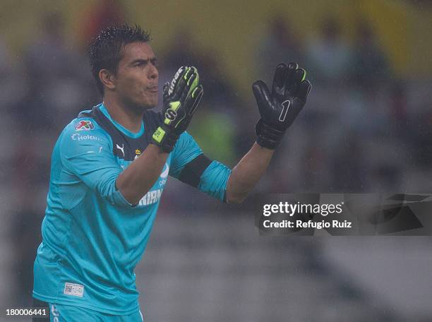 Osvaldo Sanchez Photos and Premium High Res Pictures Getty Images