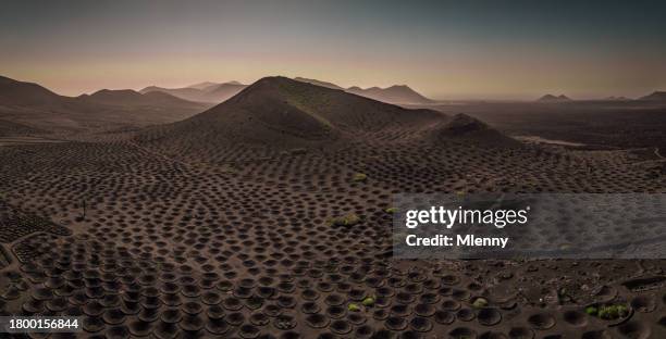 paisaje volcánico lanzarote plantación tradicional de vid bodega volcán al atardecer - paisaje volcánico fotografías e imágenes de stock