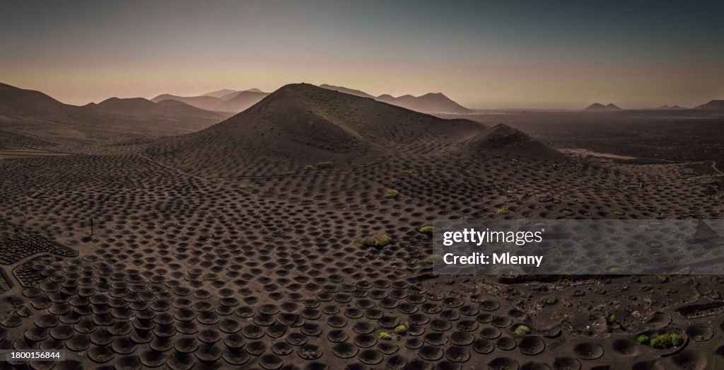 Volcanic Landscape Lanzarote Traditional Grapevine Plantation Volcano Winery at Sunset
