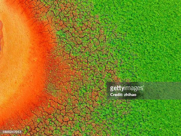looking down on the grasslands of the red earth - laguna colorada stock pictures, royalty-free photos & images