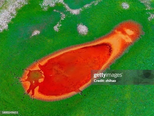 aerial photograph of the red lake in the steppe - laguna colorada stock pictures, royalty-free photos & images