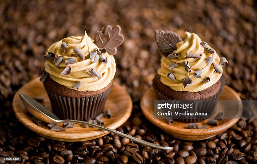 Chocolate cupcakes