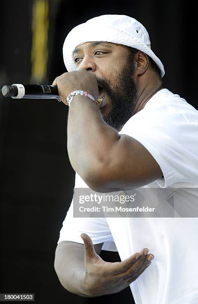 Sean Price performs as part of the Rock the Bells Tenth Anniversary at San Manuel Amphitheatre on September 7, 2013 in San Bernadino, California.