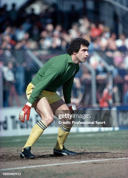 Nottingham Forest goalkeeper Peter Shilton in action, circa 1981.