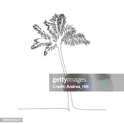 Palm Tree Continuous Line Drawing with Editable Stroke Palm Tree Continuous Line Drawing with Editable Stroke
