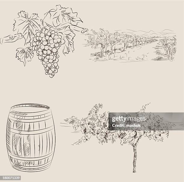 winery - wine barrel stock illustrations