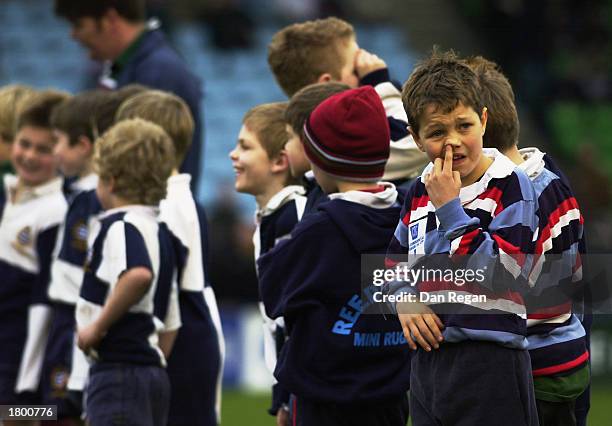 Derik Mini Rugby Player 37 Mini Rugby Stock Photos, High-Res Pictures, and Images - Getty Images