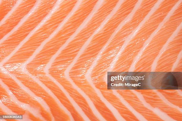 atlantic salmon fillet texture background - saumon photos et images de collection
