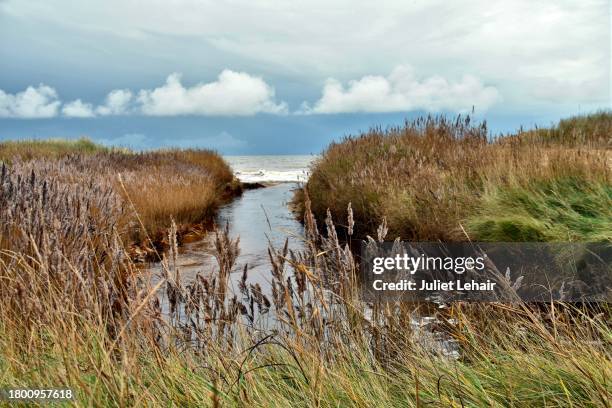 from marsh to sea. - southwold stock pictures, royalty-free photos & images