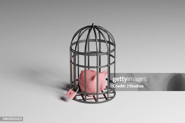 piggy bank locked in large birdcage - releasing money stock pictures, royalty-free photos & images