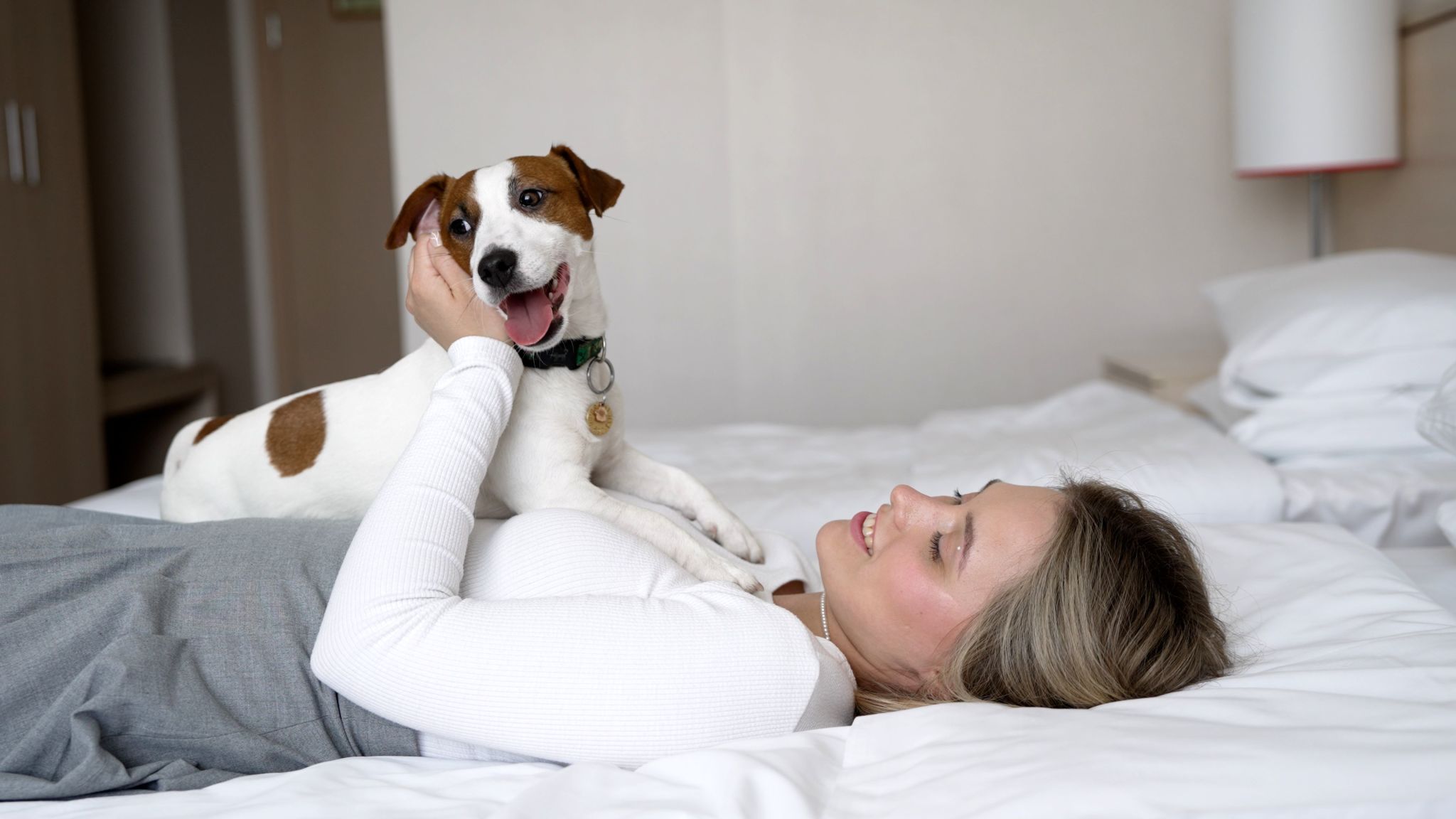 pet friendly alarm