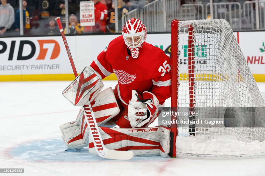 Detroit Red Wings v Boston Bruins
