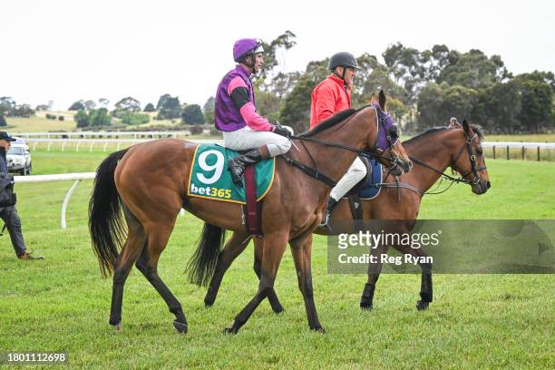 Paul Gatt returns to the mounting yard on Vegas On Fire after winning the FLEXOLT oral lice control for sheep Maiden Plate at Penshurst Racecourse on...