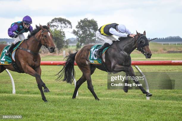 Brain Fog ridden by Tom Madden wins the Cottrills Plumbing & Page Electrical Maiden Plate at Penshurst Racecourse on November 25, 2023 in Penshurst,...