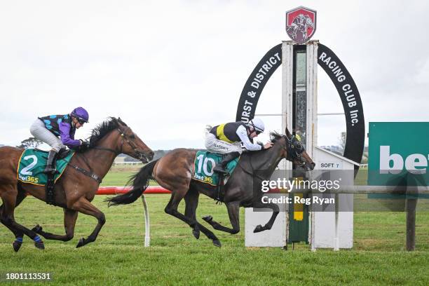 Brain Fog ridden by Tom Madden wins the Cottrills Plumbing & Page Electrical Maiden Plate at Penshurst Racecourse on November 25, 2023 in Penshurst,...