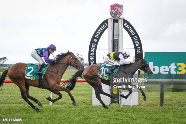 Brain Fog ridden by Tom Madden wins the Cottrills Plumbing & Page Electrical Maiden Plate at Penshurst Racecourse on November 25, 2023 in Penshurst,...
