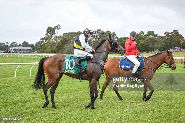 Tom Madden returns to the mounting yard on Brain Fog after winning the Cottrills Plumbing & Page Electrical Maiden Plate at Penshurst Racecourse on...