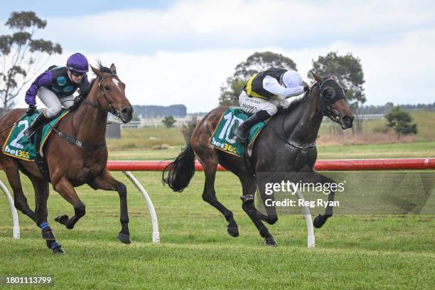 Brain Fog ridden by Tom Madden wins the Cottrills Plumbing & Page Electrical Maiden Plate at Penshurst Racecourse on November 25, 2023 in Penshurst,...