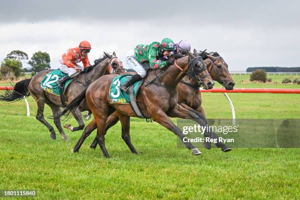 Stirrup ridden by Lauren Burke wins the Dunkeld & District Bendigo Bank BM52 Handicap at Penshurst Racecourse on November 25, 2023 in Penshurst,...