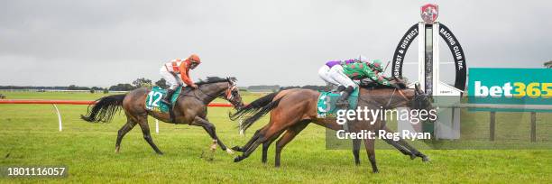 Stirrup ridden by Lauren Burke wins the Dunkeld & District Bendigo Bank BM52 Handicap at Penshurst Racecourse on November 25, 2023 in Penshurst,...