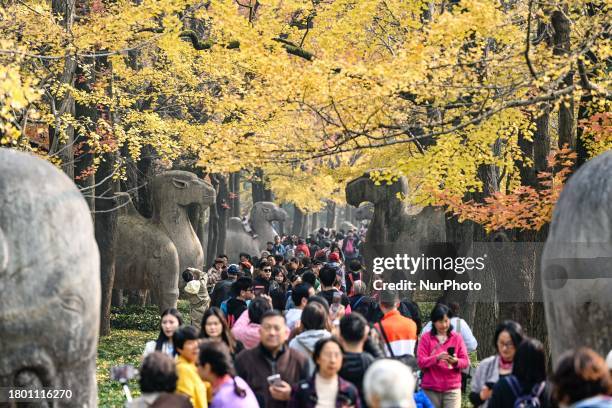 Tourists are playing on the 600-meter-long Shixiang Road at the Ming Xiaoling Mausoleum, a World Cultural Heritage site, in Nanjing, China, on...